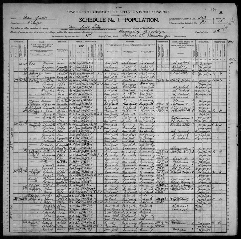 1900 US Census